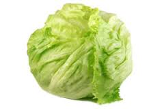Lechuga repollada